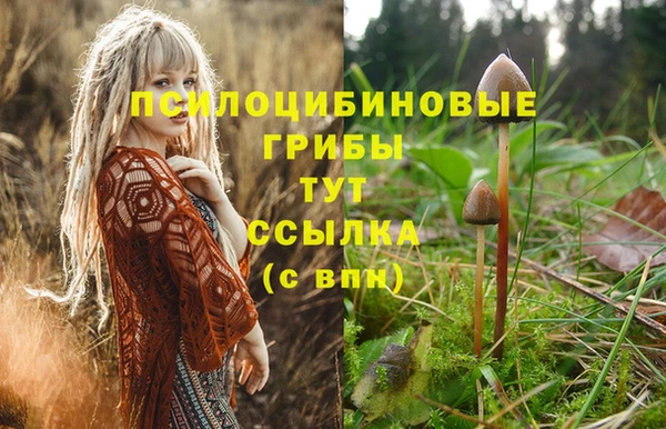синтетический гашиш Бронницы