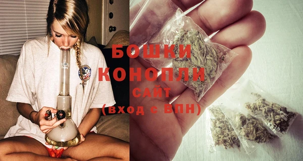винт Бородино