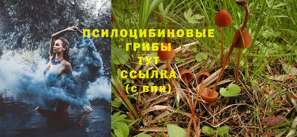 синтетический гашиш Бронницы
